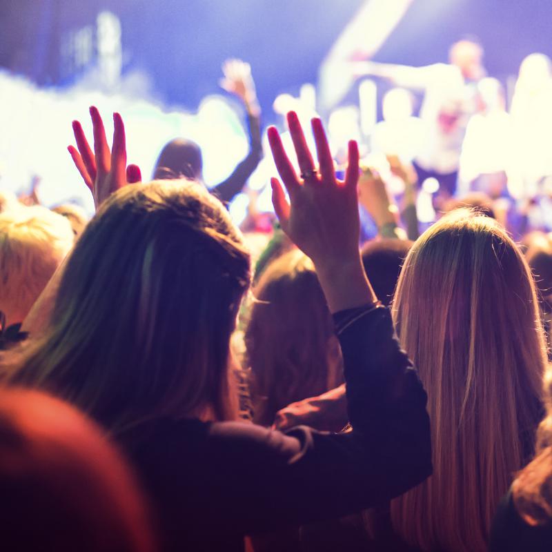 Concert Crowd